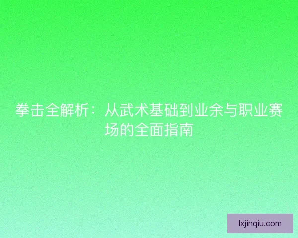 拳击全解析:从武术基础到业余与职业赛场的全面指南 拳击全解析:从武术基础到业余与职业赛场的全面指南